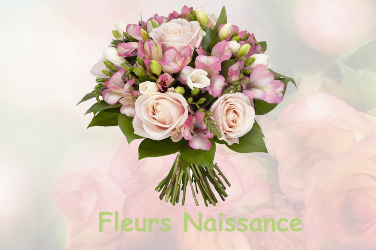 fleurs naissance AMBLY-SUR-MEUSE