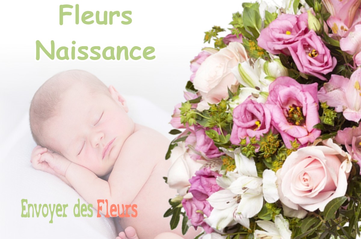 lIVRAISON FLEURS NAISSANCE à AMBLY-SUR-MEUSE